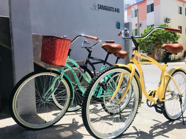Actividades en Puerto Morelos