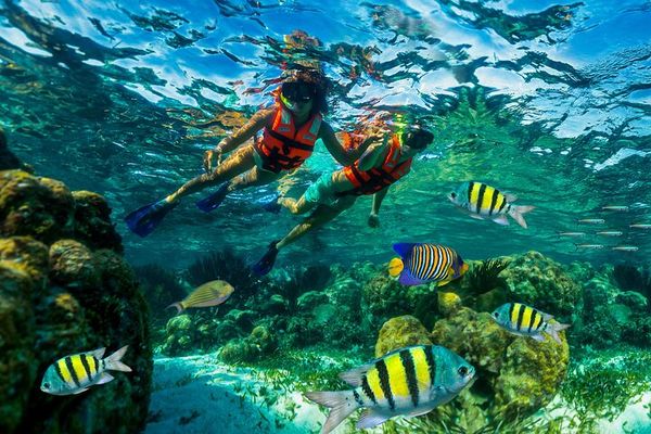 Arrecife de Puerto Morelos