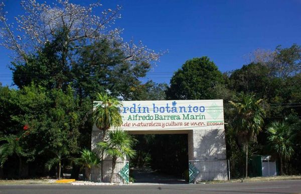 Jardín Botánico Dr. Alfredo Barrera Marín