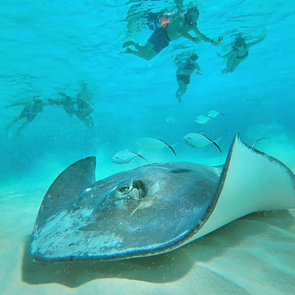 Shallow turquoise water at El Cielo