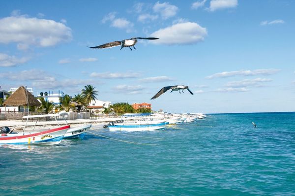Arrecife de Puerto Morelos